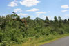 2011-07-06-12h43m01