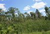 2011-07-06-12h43m06