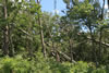 2011-07-06-12h43m59