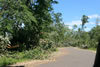 2011-07-06-11h09m59