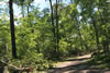 2011-07-06-11h10m04