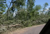 2011-07-06-11h10m16