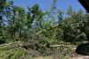 2011-07-06-11h11m45