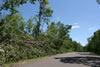 2011-07-06-11h11m50