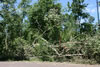 2011-07-06-11h12m23