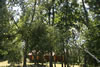 2011-07-06-11h12m28