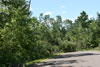 2011-07-06-11h12m45