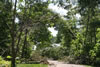 2011-07-06-11h13m38