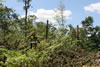 2011-07-06-11h13m58