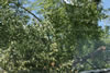 2011-07-06-11h13m59