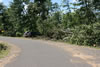 2011-07-06-11h14m03