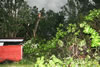 2011-07-01-19h07m49