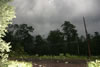2011-07-01-19h08m53