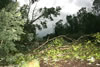 2011-07-01-19h09m08