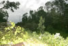 2011-07-01-19h09m17