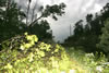 2011-07-01-19h09m24