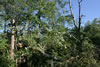2011-07-02-06h58m43