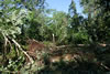 2011-07-02-06h59m43