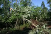 2011-07-02-07h00m44