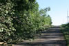 2011-07-02-07h01m09