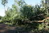 2011-07-02-07h01m18