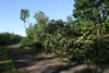 2011-07-02-07h01m45