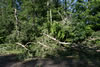 2011-07-02-07h03m06