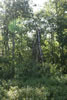 2011-07-02-07h08m18