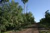 2011-07-02-07h11m57