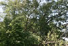 2011-07-03-13h30m39