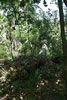2011-07-03-13h31m39