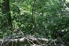 2011-07-03-13h32m44