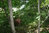 2011-07-03-13h33m34