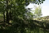 2011-07-03-13h35m37