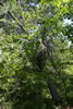 2011-07-03-13h37m41