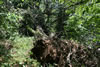 2011-07-03-13h41m40