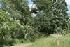 2011-07-03-13h54m31