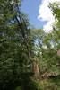 2011-07-03-13h56m11
