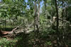 2011-07-03-13h56m42
