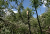 2011-07-03-13h59m09