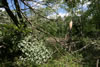 2011-07-03-13h59m50