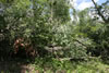 2011-07-03-14h01m21