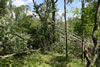 2011-07-03-14h01m37