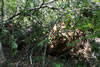 2011-07-03-14h01m48