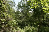 2011-07-03-14h03m29