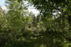 2011-07-03-14h04m01