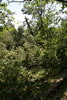 2011-07-03-14h04m44