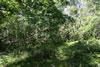 2011-07-03-14h05m05
