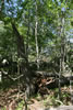 2011-07-03-14h06m33