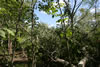 2011-07-03-14h07m14